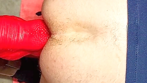 Hot babe gets a wild cock in her mouth