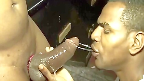 She like vs sex toy